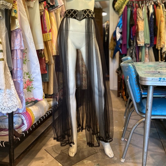 Vintage Sheer Layering Skirt - Picture 1 of 12